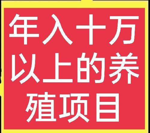 六大特种养殖项目，助你轻松发家致富