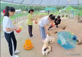 张家口怀来东篱农场，喂猪喂兔种地，乐趣多多