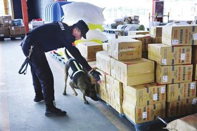 警犬助力太原物流，严把寄递安全新关卡